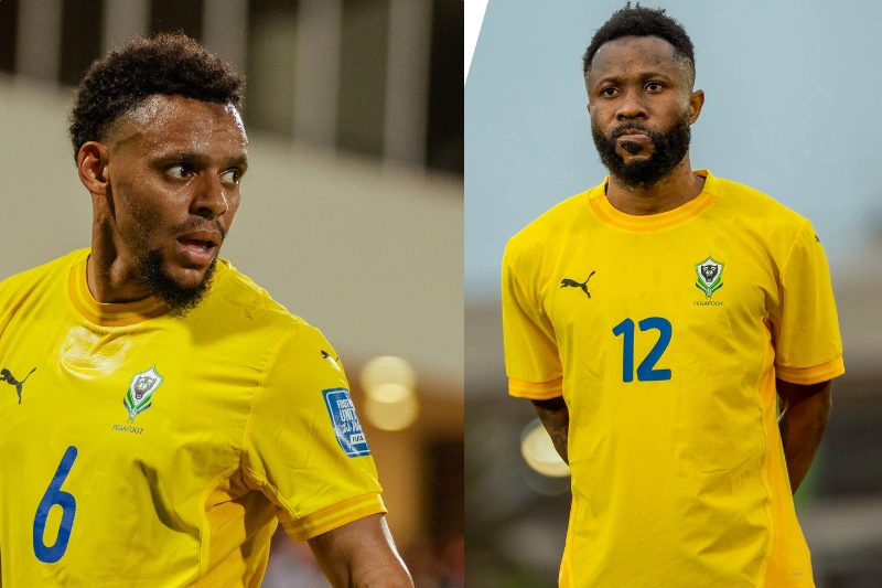 Football/Panthères : trois cadors à la recherche d'un point de chute