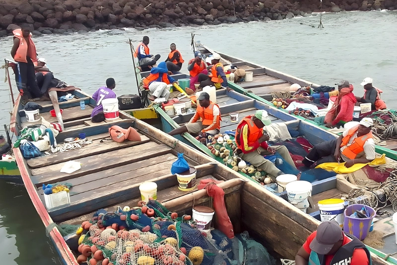 Gestion des aires marines : vers un plan d’aménagement de pêcherie de l'estuaire du Komo