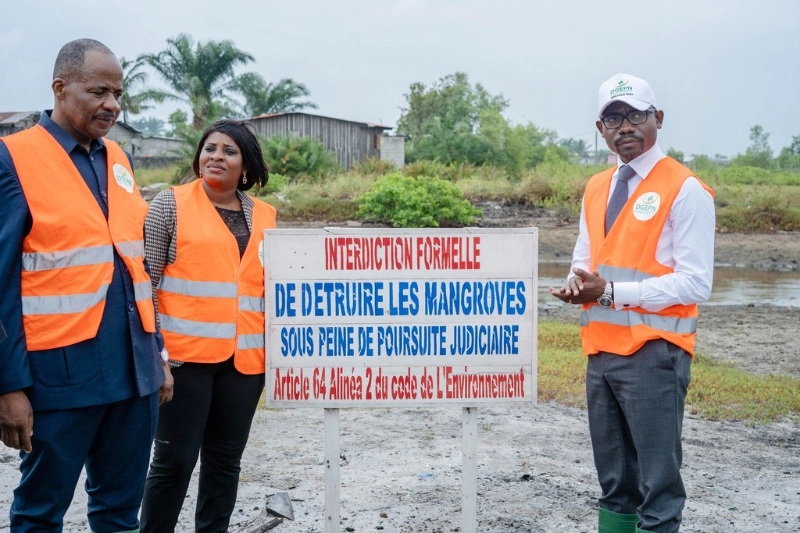 Port-Gentil : non aux constructions sur la mangrove