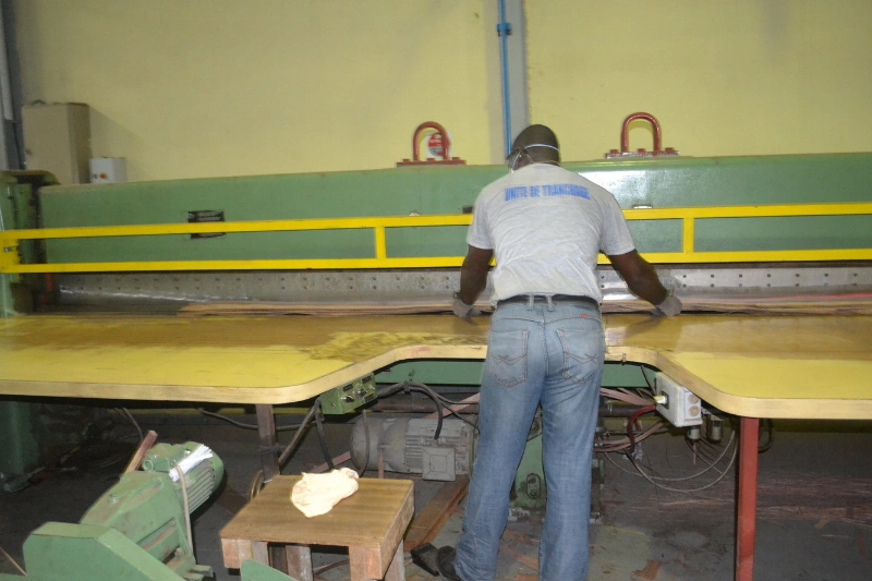 La filière bois, usine de transformation de la SNBG 