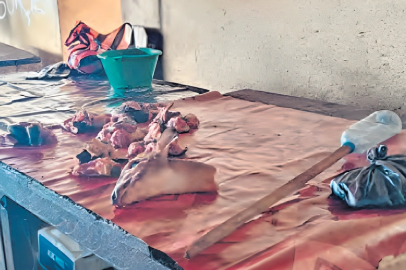 Moanda : forte demande de viande de brousse à l'approche des fêtes