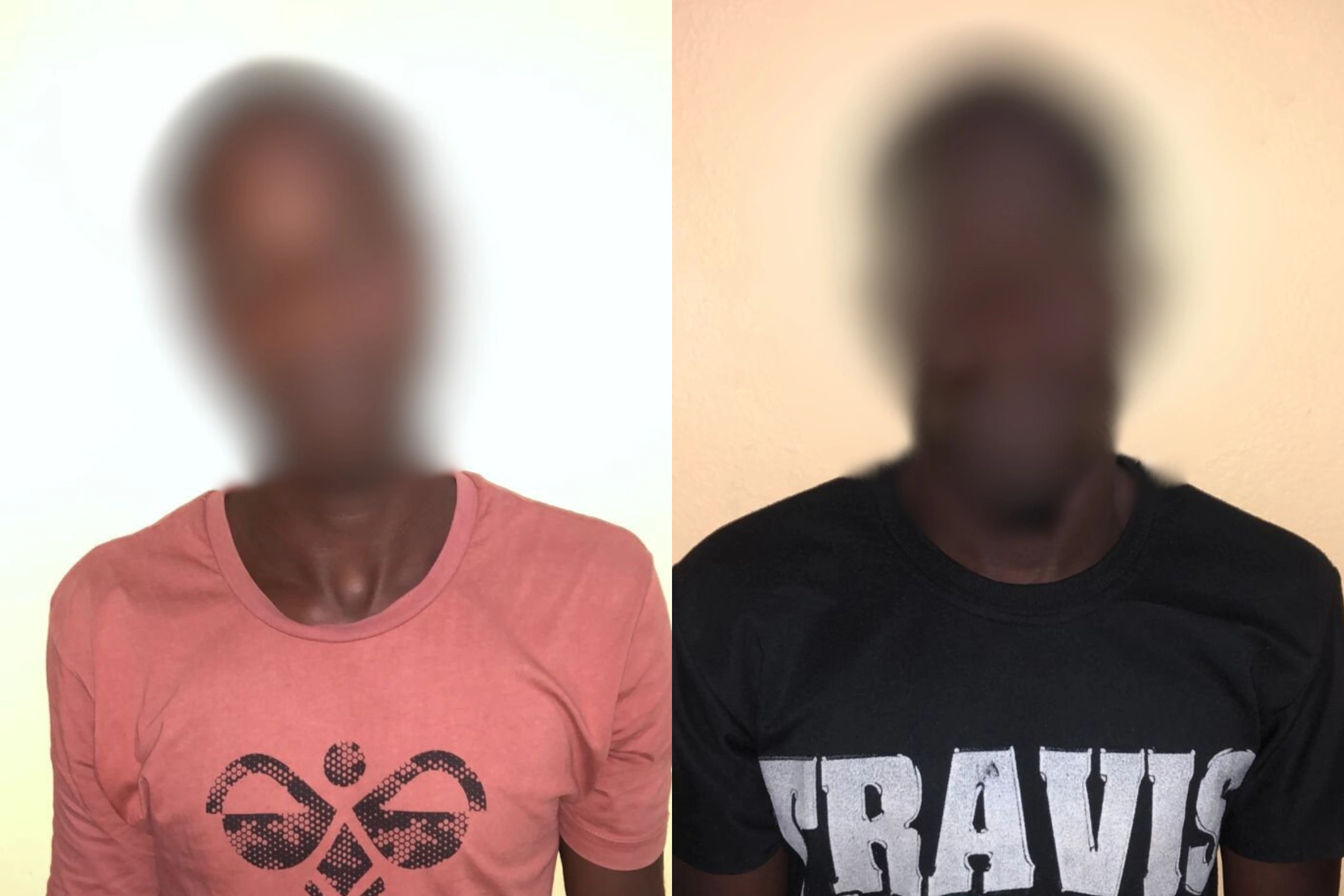 Stone Ingondjou Rebouka et Innocent Gildas Viro attendent leur procès au Château.