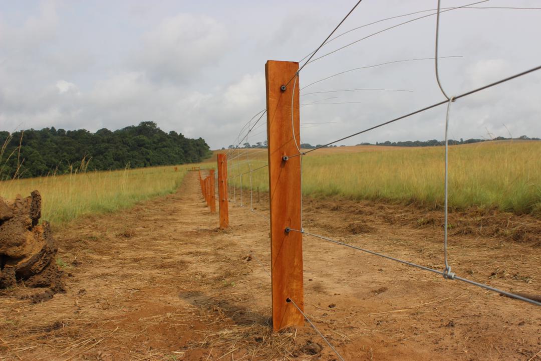 Assala Gabon : 750 millions de francs pour des clôtures électriques