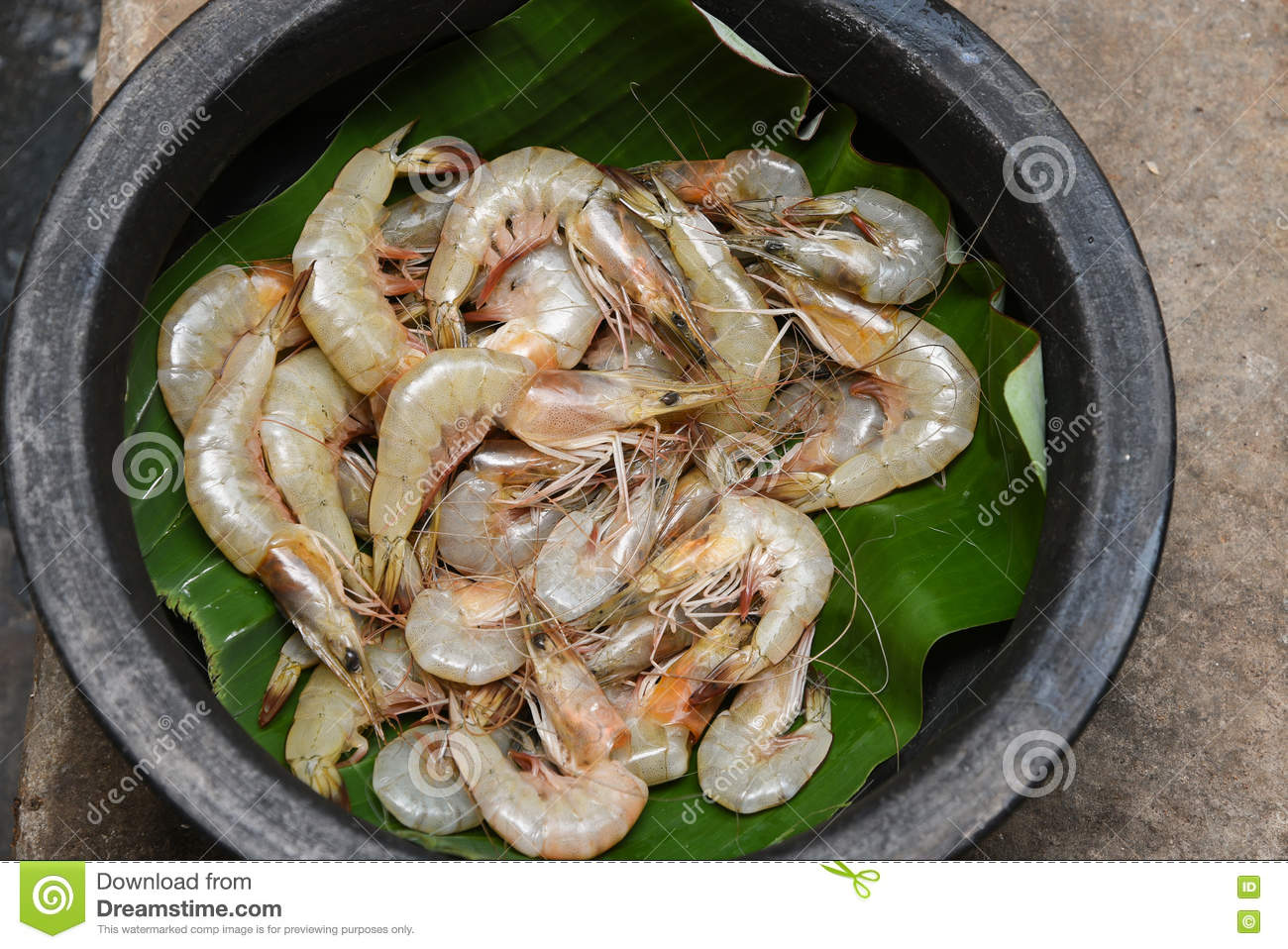 Ressources halieutique : le Gabon va évaluer son stock de crevettes côtières