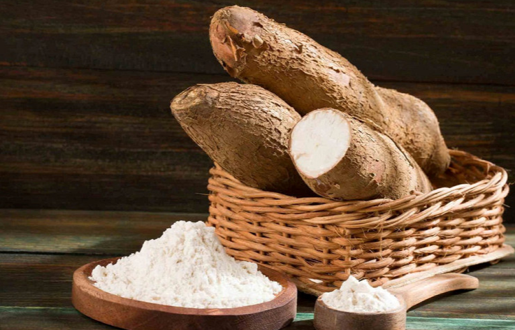Alimentation : Du pain et des viennoiseries à base de farine de manioc ?
