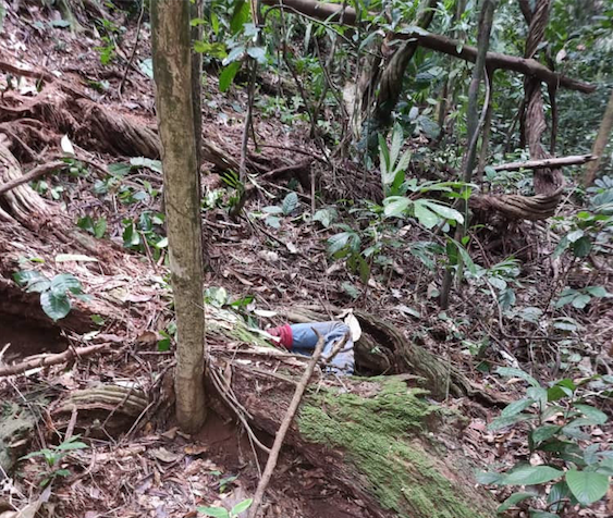 Fougamou : un chasseur tué par un éléphant à Oyenano