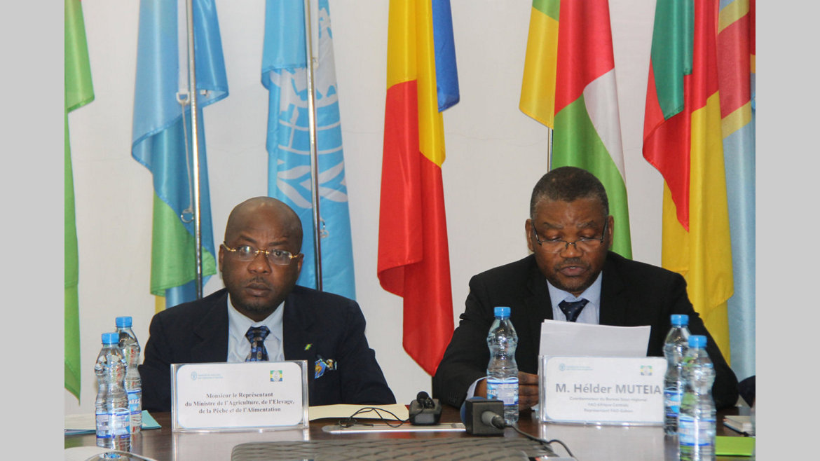 FAO : Accroître les synergies entre acteurs 