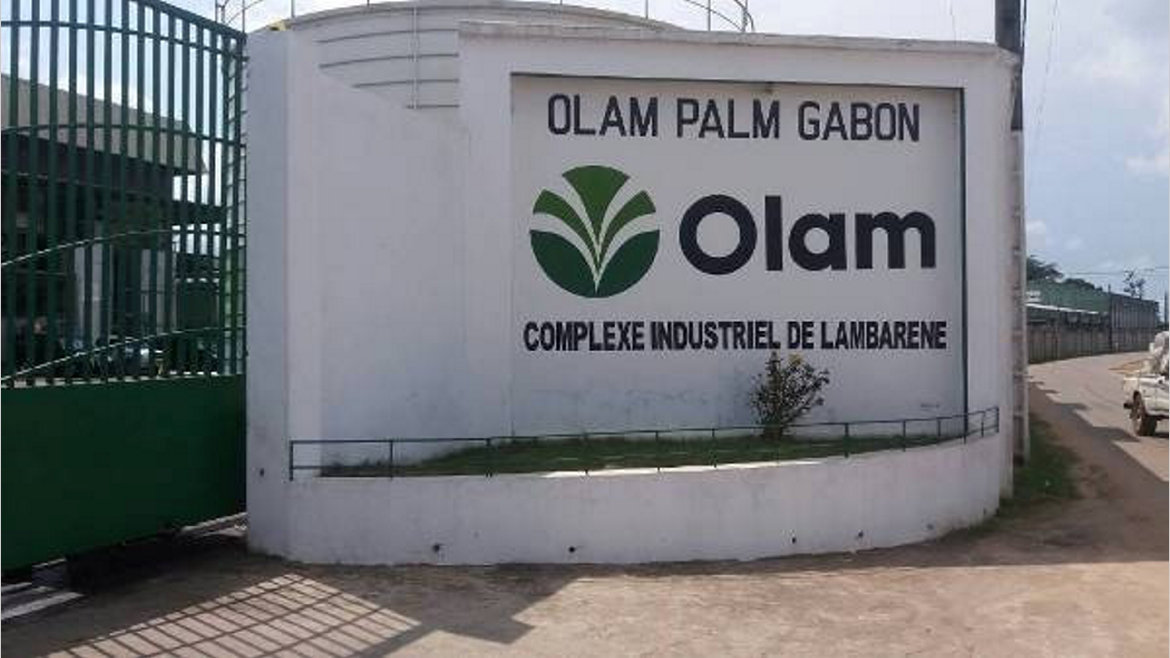 Conservation : Olam Palm Gabon primée à l’international
