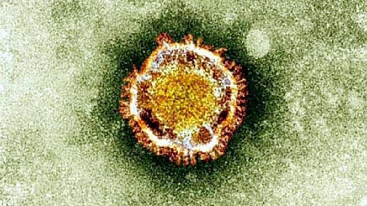 Covid-19 : l'immunité acquise après une infection