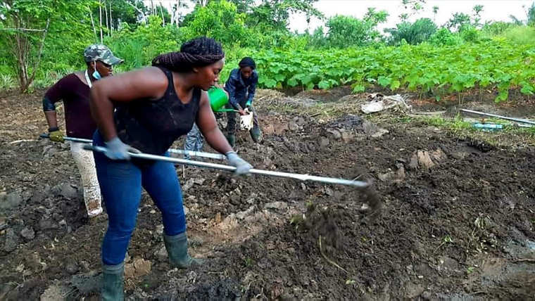 Agriculture : l'apport de la coopérative " Reflet du Gabon "