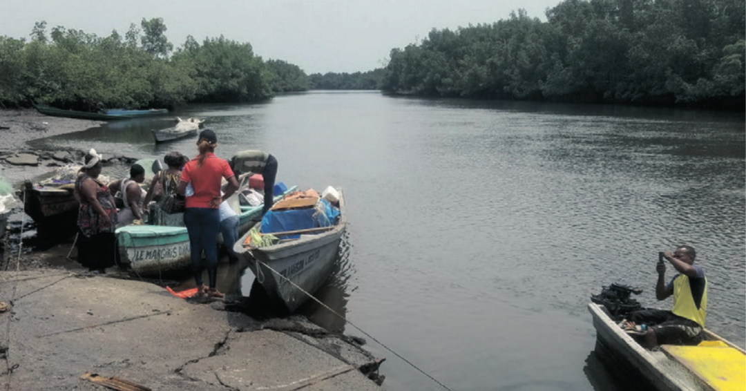 Poissons retrouvés morts : fermeture des activités de pêche dans l'estuaire du Komo