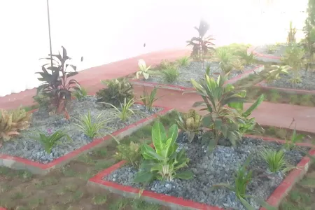 Une vue du jardin.