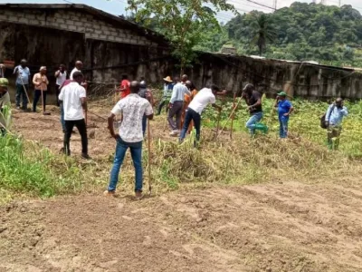 Aviculture : le Gabon veut former 40 000 professionnels