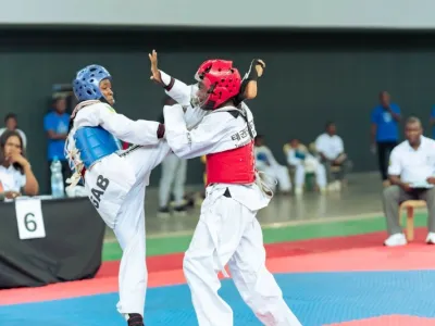  29e édition des baby champion de taekwondo