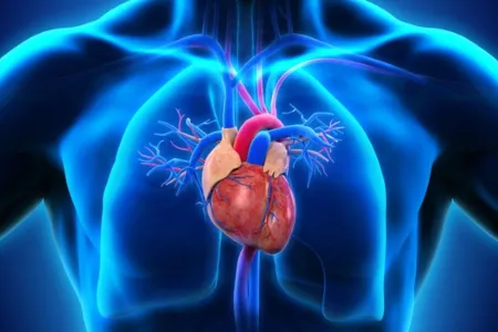 Cardiologie. © DR