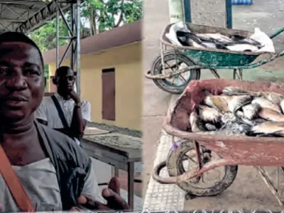 Lambaréné : les vendeurs ambulants de poisson défient ceux du Centre de pêche