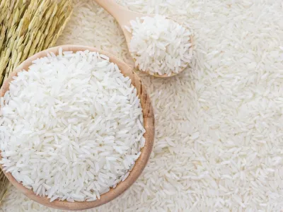 Riziculture : l'expertise chinoise, un modèle pour le Gabon ?
