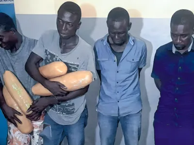 Les quatre trafiquants neutralisés par les éléments de la BAC du Haut-Ogooué