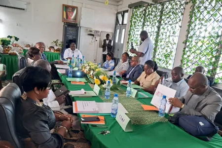  Une vue des participants au dialogue de gestion de l’hôpital sino-gabonais de Libreville.