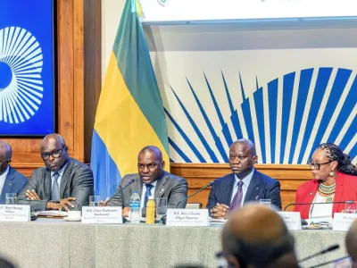 Des investisseurs américains séduits par le Gabon. © DR