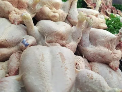 Alimentation : le Gabon dit stop au poulet importé