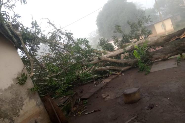 Mounana : un orage fait des dégâts à la cité 5 000