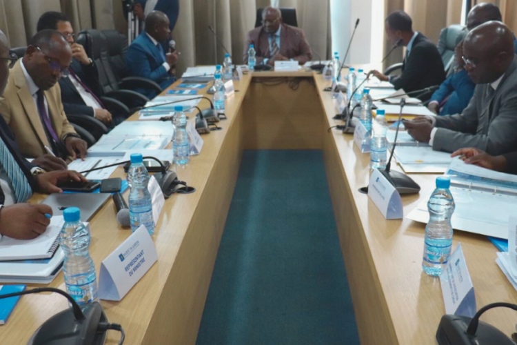 Une vue des participants aux travaux du conseil d’administration de l’ANPI-Gabon.