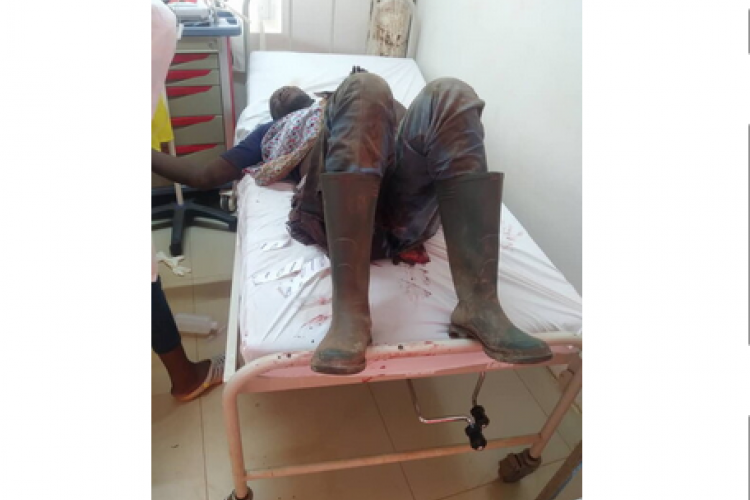 Mandji : un ouvrier d'Olam Palm tué par un éléphant