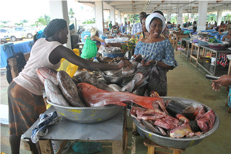 Raréfaction du poisson au Capal : Houangni Ambouroue promet des solutions rapides et pérennes