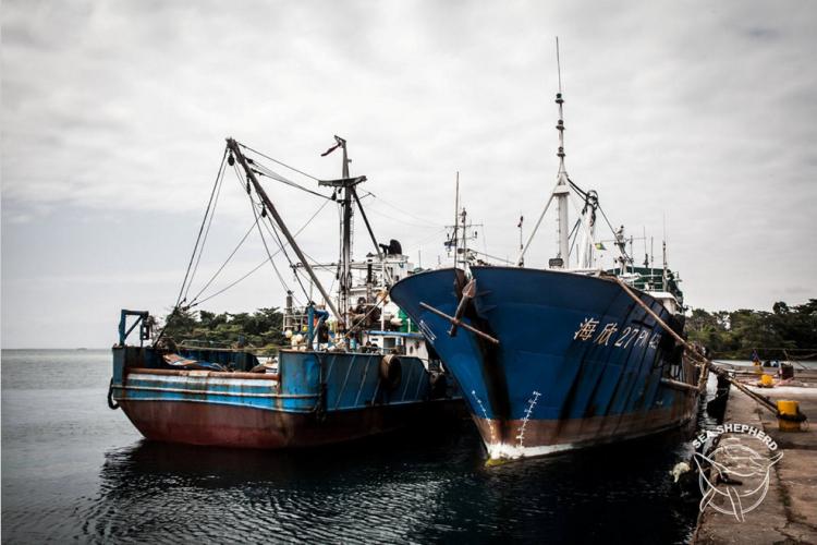 Pêche illégale dans les aires protégées : Un chalutier arraisonné pour braconnage