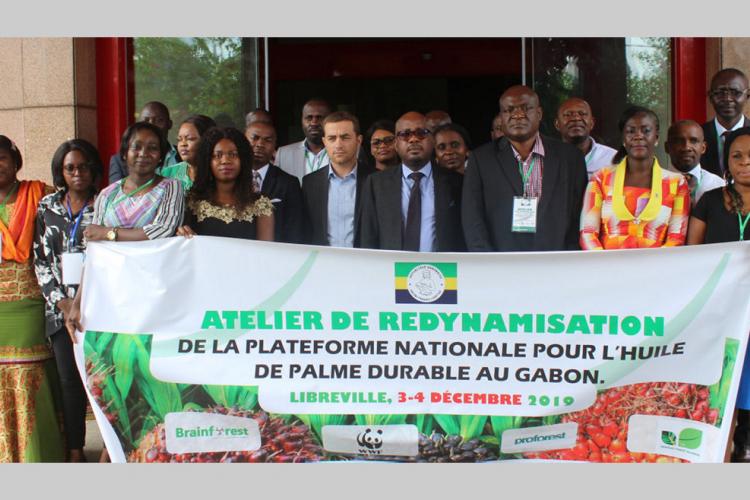 Huile de palme : Renforcer le fonctionnement d'Apoi-Gabon