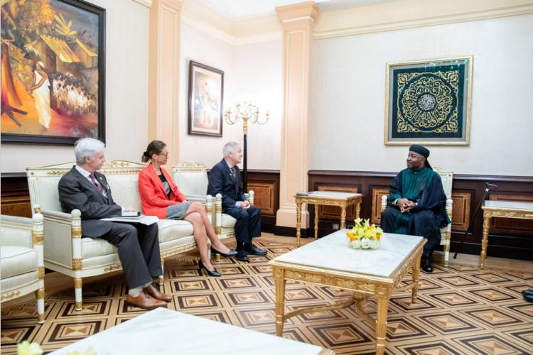 Diplomatie : L'Irlande sollicite le soutien du Gabon