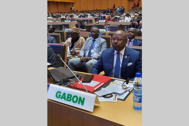 UA : La diplomatie gabonaise très active