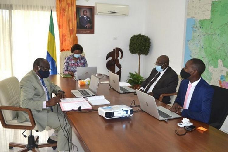 Investissements : le groupe marocain Walili cible les secteurs prioritaires du Gabon