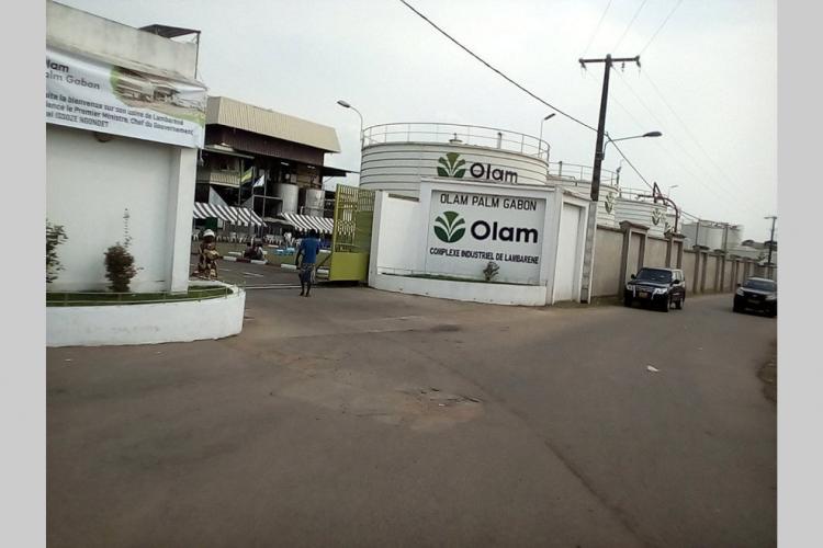 Olam Palm : autorisé à produire du biocarburant