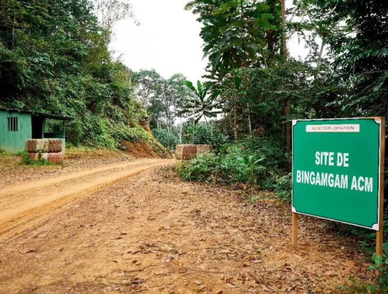 Agroforesterie  : l’heure du bilan pour le groupe Alpha Centauri Mining