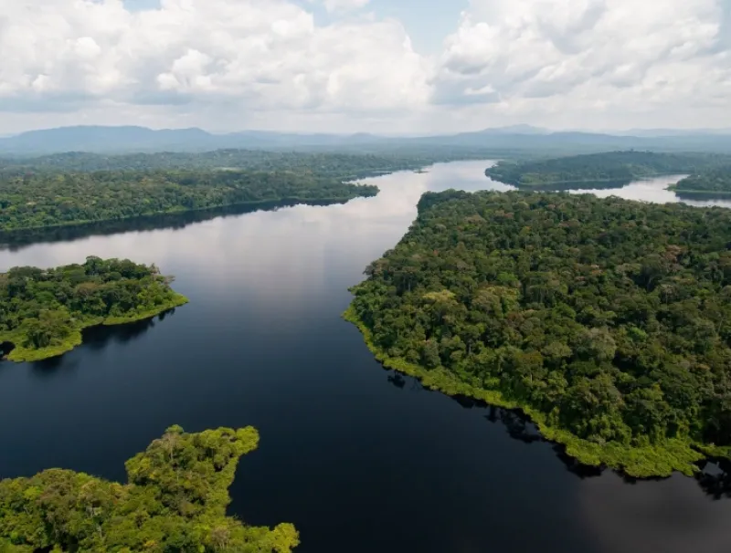 Biodiversité au Gabon