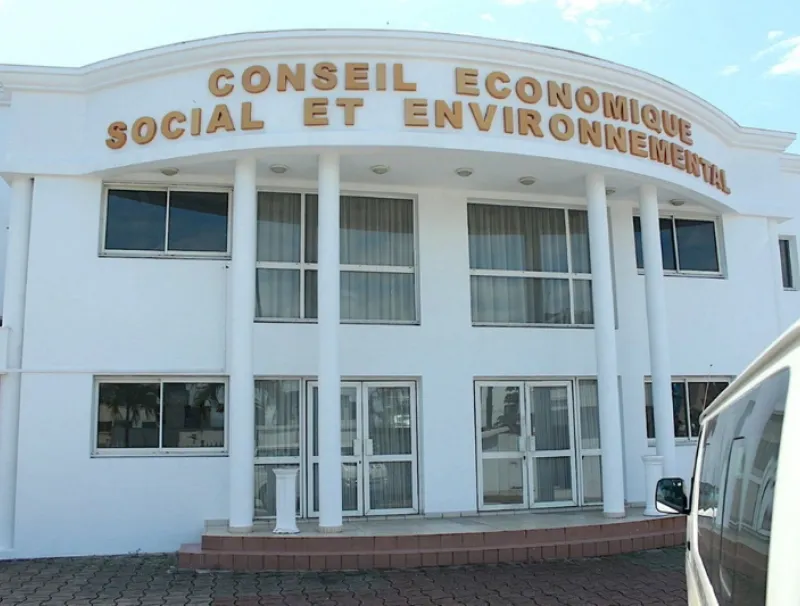 Conseil économique, social, environnemental