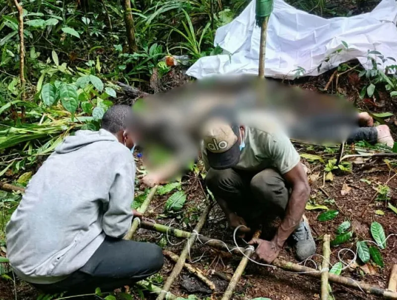 Chasseur tué par un éléphant