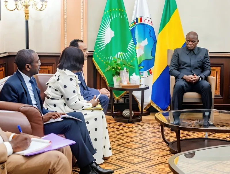Délégation conduite par la ministre de la Santé, Nkana Ayo-Bivigou, et reçue par le chef de l’État Oligui Nguema