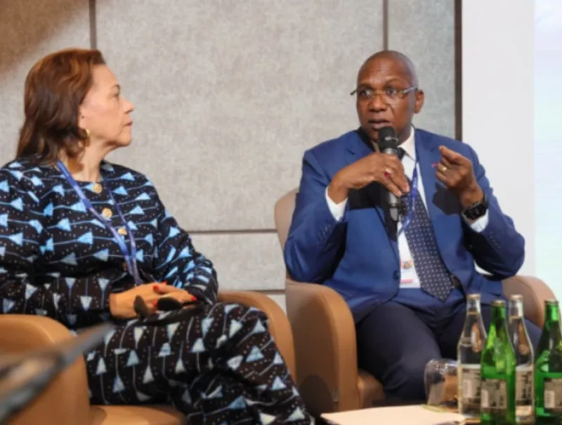 Pr Nkana Ayo-Bivigou, ministre de la santé