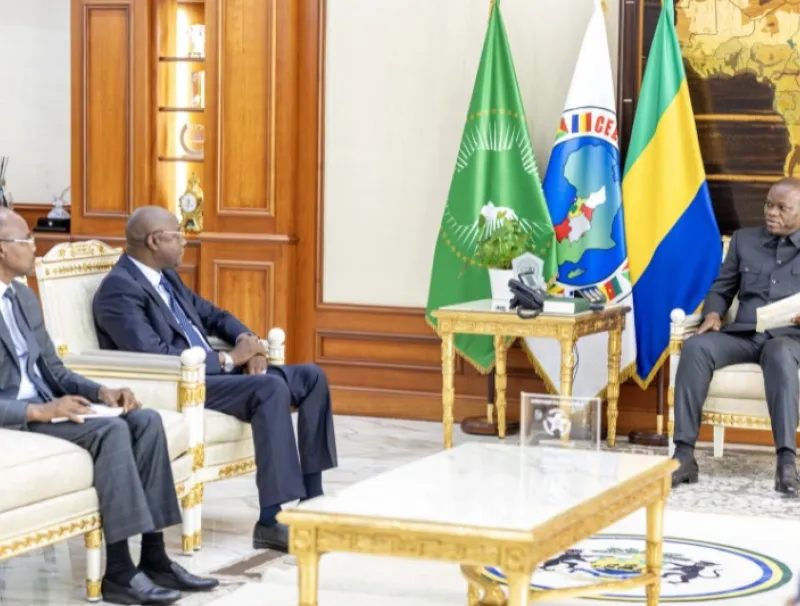 Brice Clotaire Oligui Nguema, président du Gabon et Marcelin Passalé Kanabé, ministre de l'Eau et de l'Énergie du Tchad