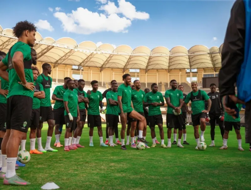 Les panthères du Gabon