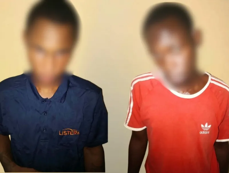 Deux présumés voleurs de rouleaux de câbles électriques