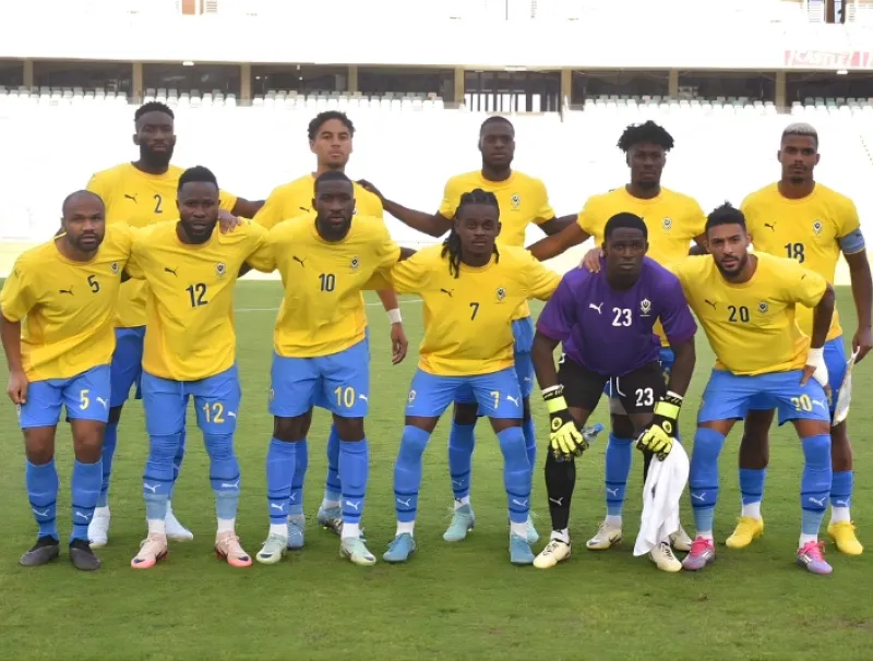 Panthères du Gabon