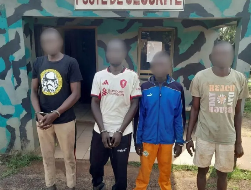 Les suspects de la tentative de cambriolage du Trésor à Franceville