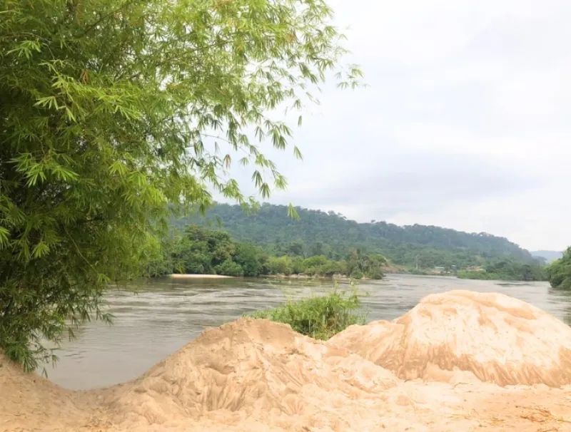 Une rive de l'ogooué