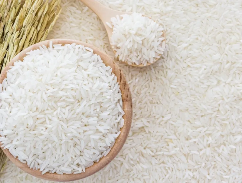 Riziculture : l'expertise chinoise, un modèle pour le Gabon ?