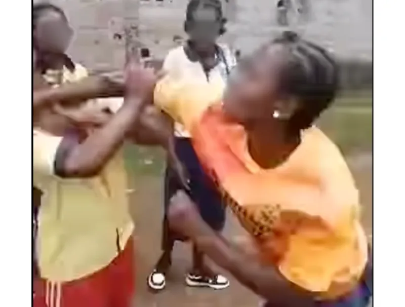 Violence en milieu scolaire. © DR