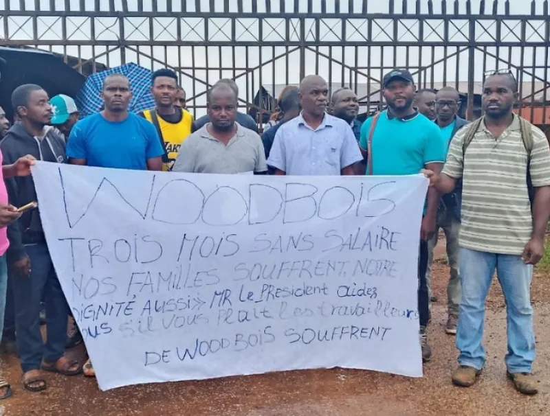 Employés de woodbois